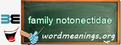 WordMeaning blackboard for family notonectidae